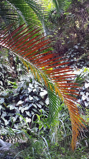 Barber Shop «Cut Loose Caboose Barber Shop», reviews and photos, 240 NW Gilman Blvd, Issaquah, WA 98027, USA