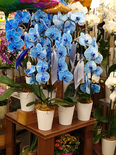 Grocery Store «ACME Markets», reviews and photos, 236 E Glenwood Ave, Smyrna, DE 19977, USA