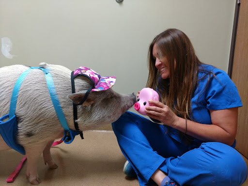 Rancho Regional Veterinary Hospital image