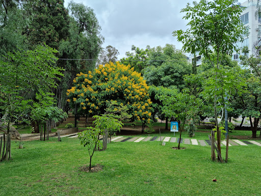 Parque Fidel Anze