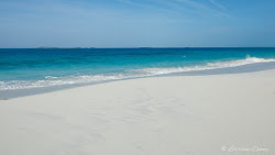 Prime cut beach'in fotoğrafı çok temiz temizlik seviyesi ile