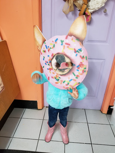 Dessert Shop «Honey Creme Donut Shop», reviews and photos, 514 Vincennes St, New Albany, IN 47150, USA