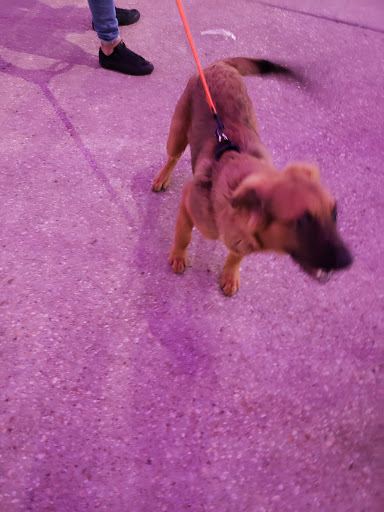 Tourist Attraction «National Harbor», reviews and photos, 165 Waterfront St, Oxon Hill, MD 20745, USA