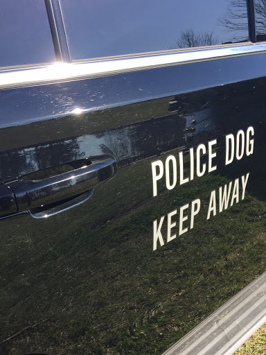 Dog Trainer «Custom Canine Unlimited», reviews and photos, 672 Porter Rd, Maysville, GA 30558, USA