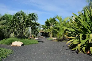 Pachamama Eco Park - Viveiro Botanical Garden image