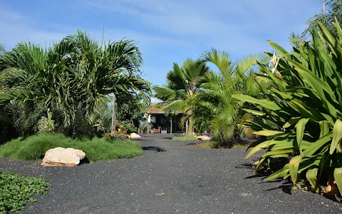 Pachamama Eco Park - Viveiro Botanical Garden image