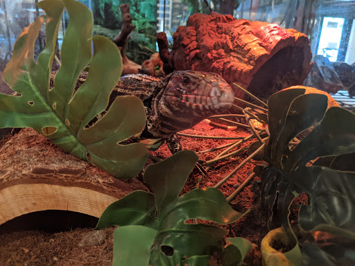 Tropical Fish Store «Harris In Wonderland», reviews and photos, 12 W Main St, Avon, CT 06001, USA