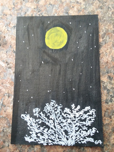 Art Supply Store «Artist & Craftsman Supply Long Island City», reviews and photos, 34-09 Queens Blvd, Long Island City, NY 11101, USA