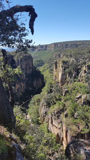 Park «Dellwood Park», reviews and photos, IL-171 & Woods Dr, Lockport, IL 60441, USA