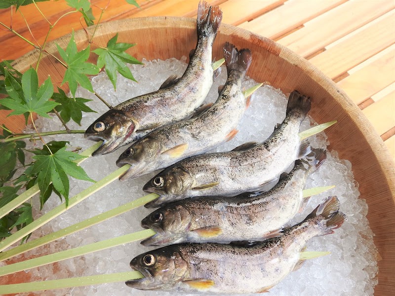 （有）村上養魚場 六地蔵店