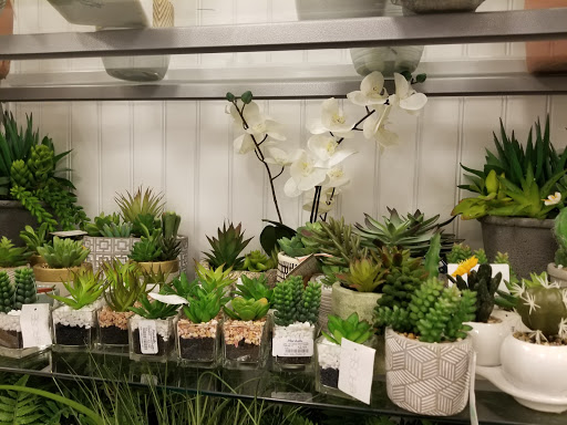 Department Store «Marshalls», reviews and photos, 5600 Buford Hwy NE b, Doraville, GA 30340, USA