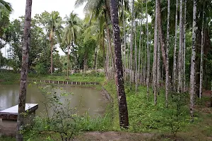 Kazi Bari Shailkupa image