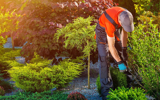 Chop Chop Landscaping