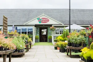 Poplar Tree Garden Centre & Coffee Shop image
