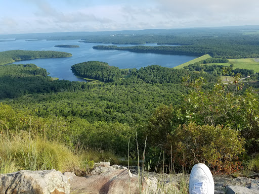 Pinnacle Mountain State Park, 11901 Pinnacle Valley Rd, Roland, AR 72135