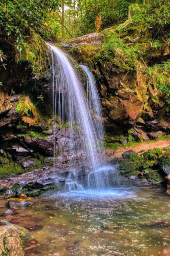 National Park «Great Smoky Mountains National Park», reviews and photos