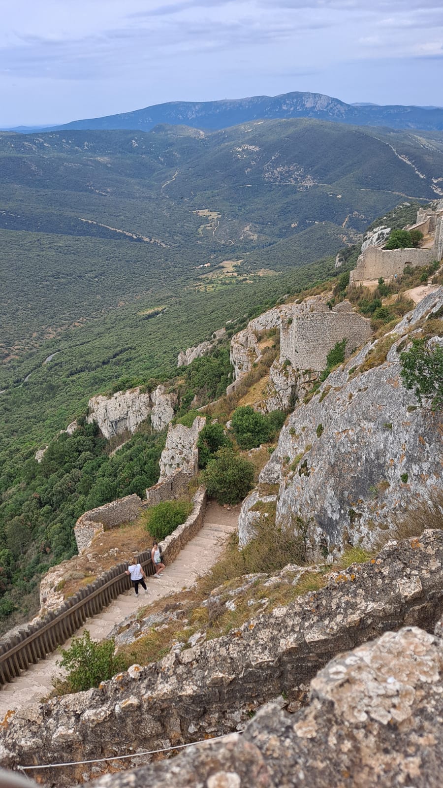 Photo n° 13 de l'avis de Sil.i fait le 12/08/2021 à 13:04