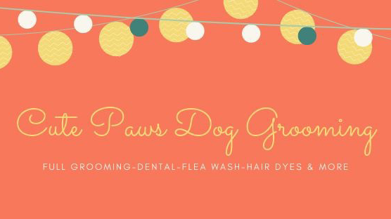 Cute Paws Dog Grooming