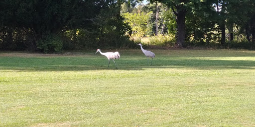 Golf Course «Elbel Golf Course», reviews and photos, 26595 Auten Rd, South Bend, IN 46628, USA
