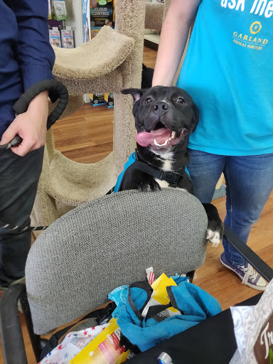 Pet Supply Store «Pet Supermarket», reviews and photos, 2090 E Arapaho Rd, Richardson, TX 75081, USA