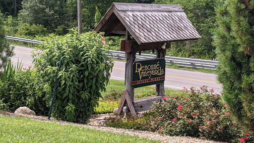 Winery «Debonne Vineyards», reviews and photos, 7840 Doty Rd, Madison, OH 44057, USA
