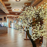 Photo n°6 de l'avis de Martina.a fait le 21/01/2024 à 16:16 sur le  Lady Maria à Fondo