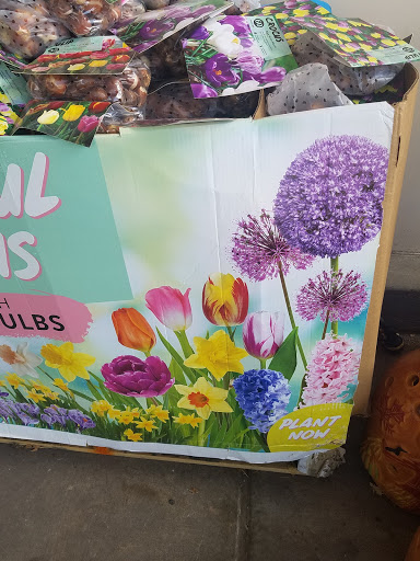 Home Improvement Store «The Home Depot», reviews and photos, 984 Wall Ave, Ogden, UT 84404, USA