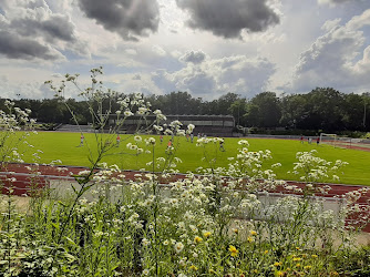 Waldstadion und Sportanlage Viernheim