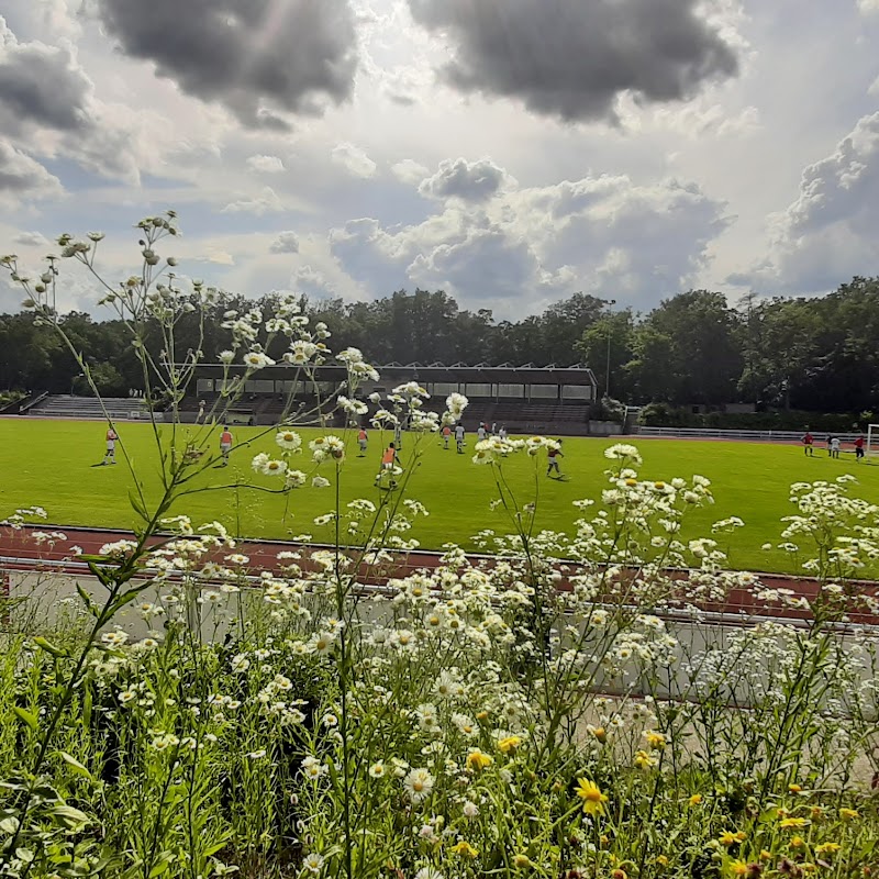 Waldstadion und Sportanlage Viernheim