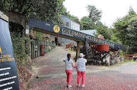 Thames Goldmine Experience