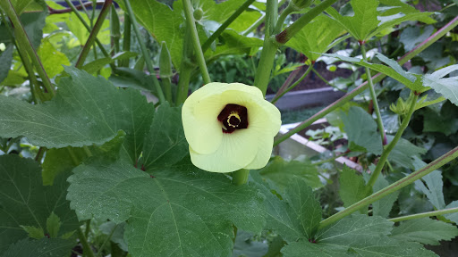 Golf Course «Wills Park Disc Golf Course», reviews and photos, 454 Wills Rd, Alpharetta, GA 30004, USA