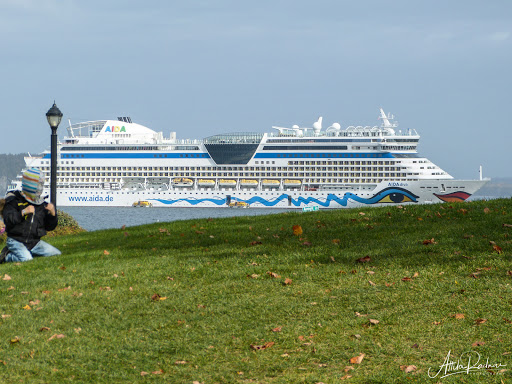 Cafe «Coffee Hound Coffee Bar», reviews and photos, 27 Main St B, Bar Harbor, ME 04609, USA