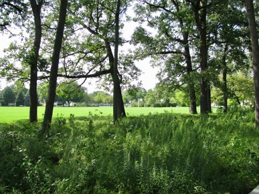 Park «Devonshire Park», reviews and photos, 4422 Greenwood St, Skokie, IL 60076, USA