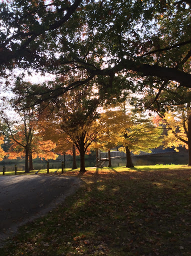 Golf Course «Lake of the Woods Golf Course», reviews and photos, 405 N Lake of the Woods Rd, Mahomet, IL 61853, USA