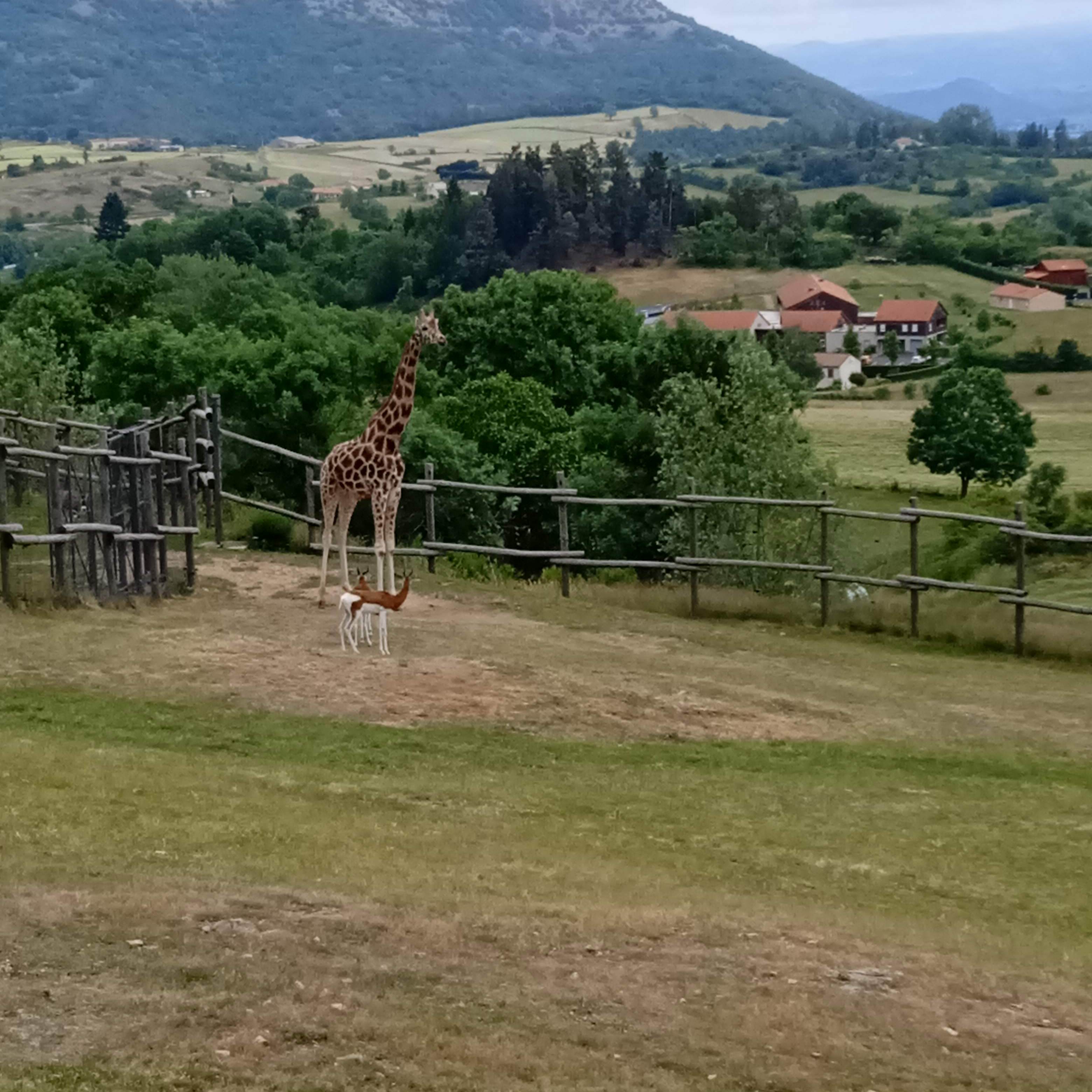 Photo n° 4 de l'avis de lau.e fait le 26/05/2022 à 18:23