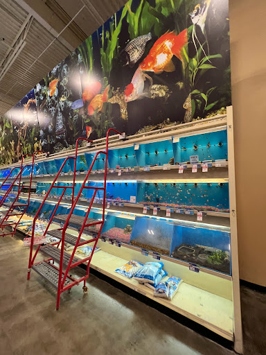 Pet Supply Store «PetSmart», reviews and photos, 10500 Ulmerton Rd, Largo, FL 33771, USA