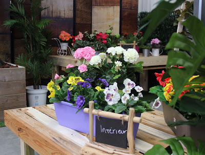 Artiplantes - Plantes artificielles à Cormelles-le-Royal