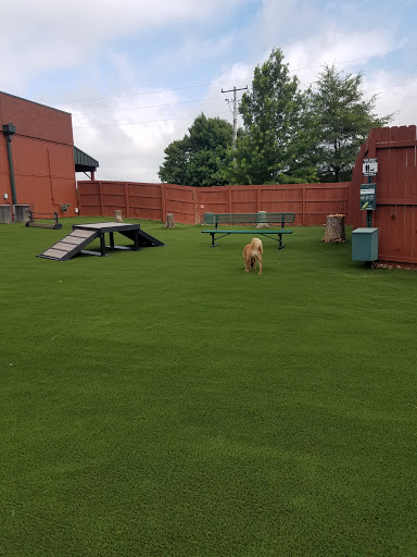 Pet Supply Store «Rucker Horse & Pet», reviews and photos, 3540 Keith Bridge Rd, Cumming, GA 30041, USA