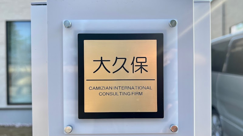 Camizian International Consulting Firm