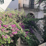 Photo n°9 de l'avis de Danilo.e fait le 03/09/2022 à 15:57 sur le  Relais Corte Palmieri à Gallipoli