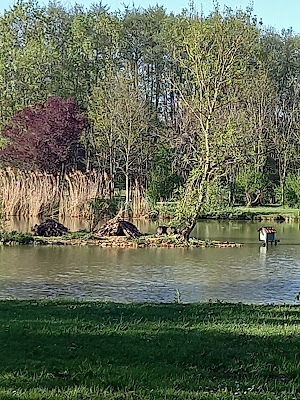 Étang de Foucherans à Foucherans
