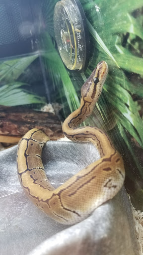 Pet Supply Store «PetSmart», reviews and photos, 15500 Panama City Beach Pkwy #340, Panama City Beach, FL 32413, USA