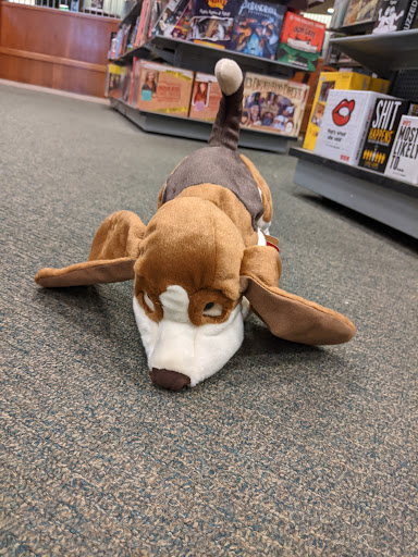 Book Store «Barnes & Noble», reviews and photos, 2134 NJ-35, Holmdel, NJ 07733, USA