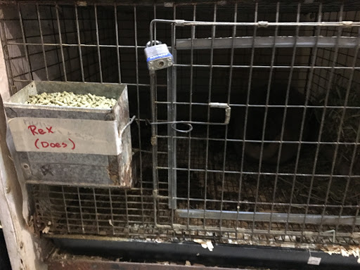 Animal Feed Store «Farmland Pets & Feed», reviews and photos, 9000 Silverdale Way NW, Silverdale, WA 98383, USA