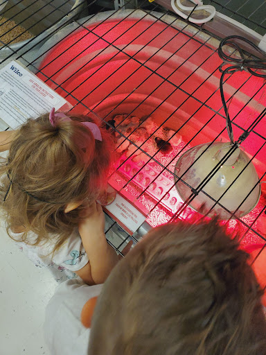 Home Improvement Store «Wilco Farm Store», reviews and photos, 1901A NE 162nd Ave, Vancouver, WA 98684, USA