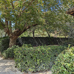 Photo n°3 de l'avis de Andrea.a fait le 07/09/2023 à 17:09 sur le  Ristorante Ca' ad Pancot à Cesena