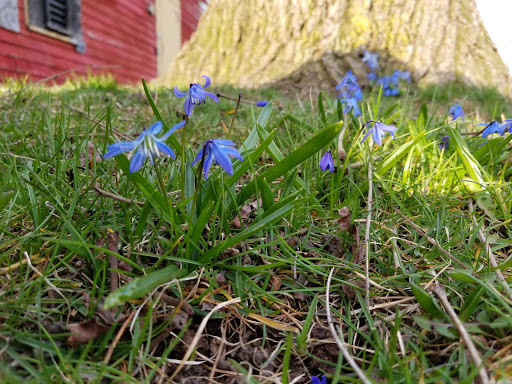 Farm «Pequitside Farm», reviews and photos, 79 Pleasant St, Canton, MA 02021, USA