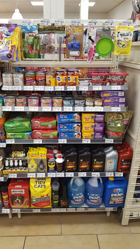Convenience Store «7-Eleven», reviews and photos, 4404 Knox Rd, College Park, MD 20740, USA