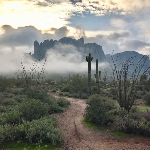 Tourist Attraction «Apache Trail Tours», reviews and photos, 4650 N Mammoth Mine Rd, Apache Junction, AZ 85119, USA