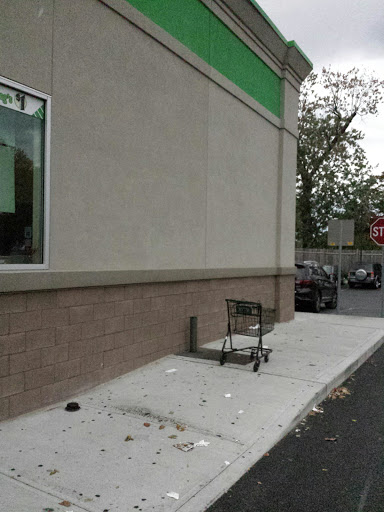 Dollar Store «Dollar Tree», reviews and photos, 435 North Ave, New Rochelle, NY 10801, USA